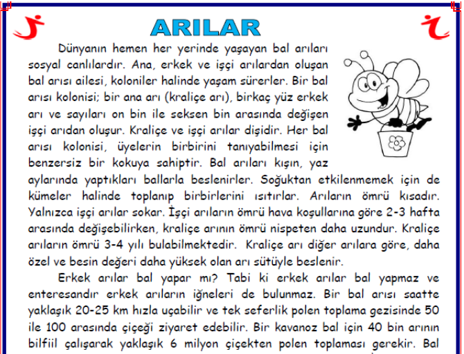 İlkokul 2. Sınıf Okuma Anlama Etkinlikleri – Arılar | Metin ve Sorular PDF – (PDF) – İlkokul 2.Sınıf / Etkinlikler – EduShare