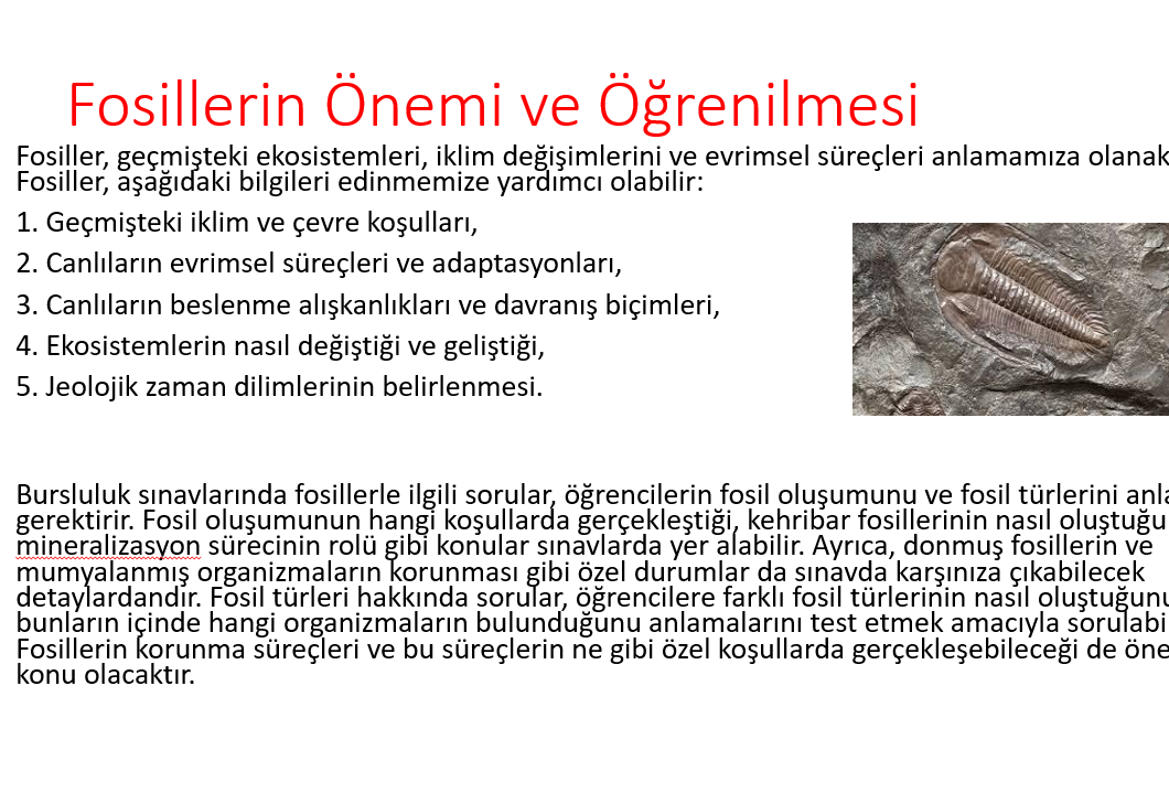 İlkokul 4. Sınıf Fen Bilimleri Yer Kabuğu ve Dünyamızın Hareketleri | Etkileşimli PowerPoint Sunum – (PPTX) – İlkokul 4.Sını…